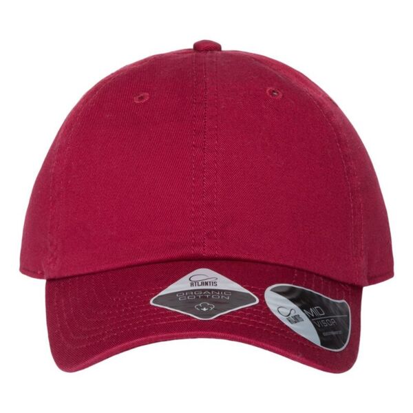 Sustainable Dad Hat Thumbnail